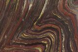 Polished Tiger Iron Stromatolite Slab - Billion Years #222949-1